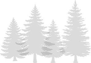 木のイラスト画像