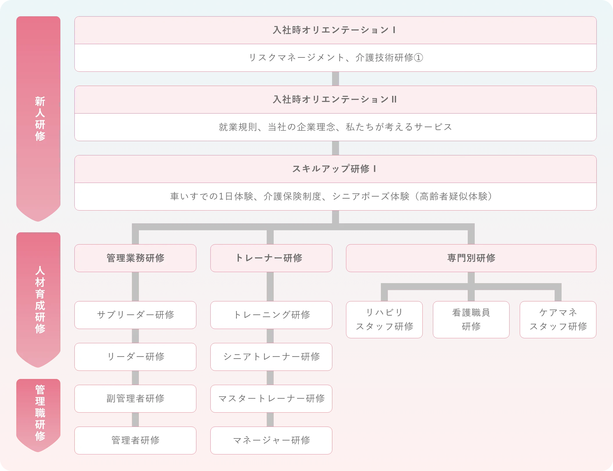 人材育成システムフロー図
