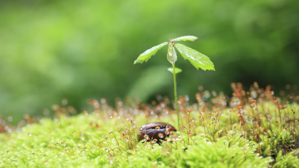 SDGsイメージ写真